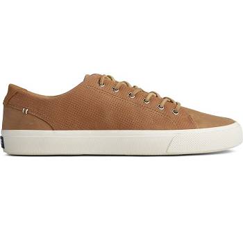 Sperry Striper Plushwave Hnede - Panske Tenisky